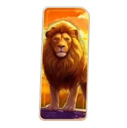 Lion
Safari